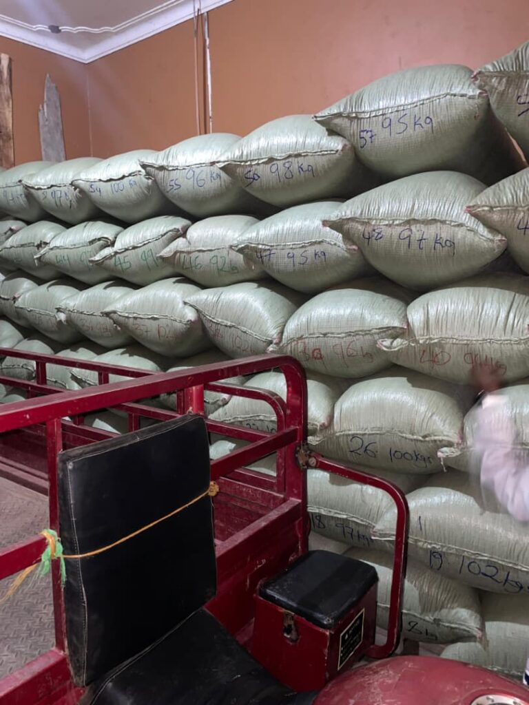 sacks of dried sorted coffee beans