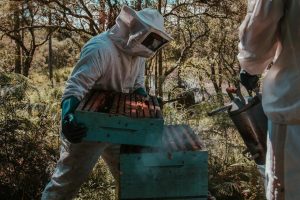 pexels-arthurbrognoli-2260932